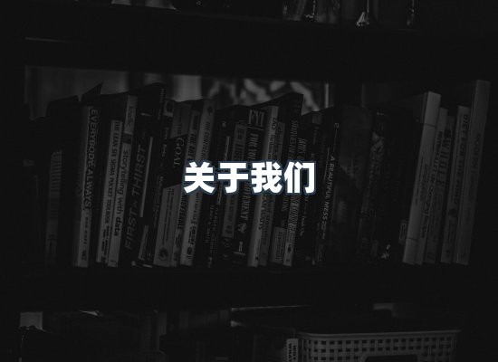 专业团队